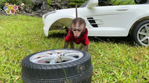 可可最爱摩托车