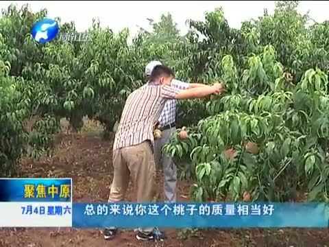 聚焦中原 《聚焦中原》 20150704 当“电商”遇到“农村”