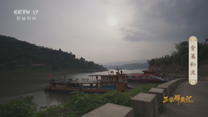 三农群英汇 《三农群英汇》 20260820 背篓轮渡
