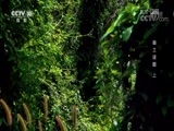 地理中国 《地理中国》 20180715 奇山异景·崮土谜题（上）