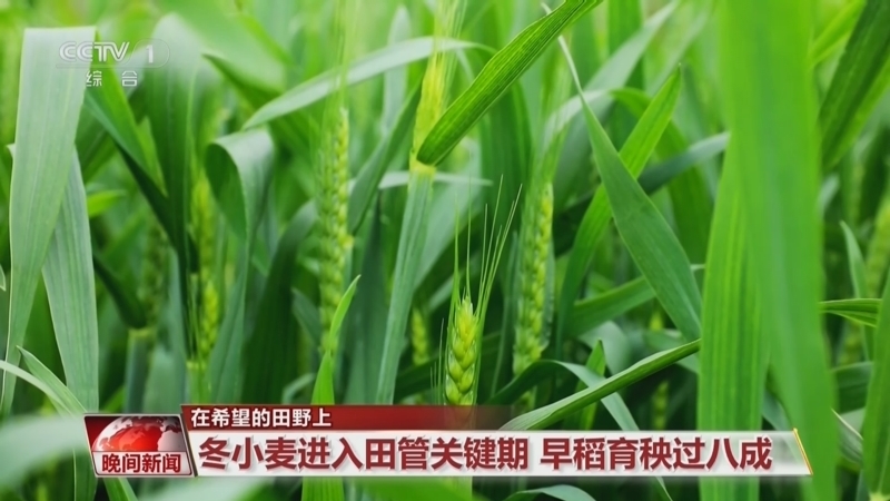 晚间新闻 《晚间新闻》 20240405