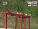 谁是终极英雄 《谁是终极英雄》 20160717 枪王争霸赛 第14集