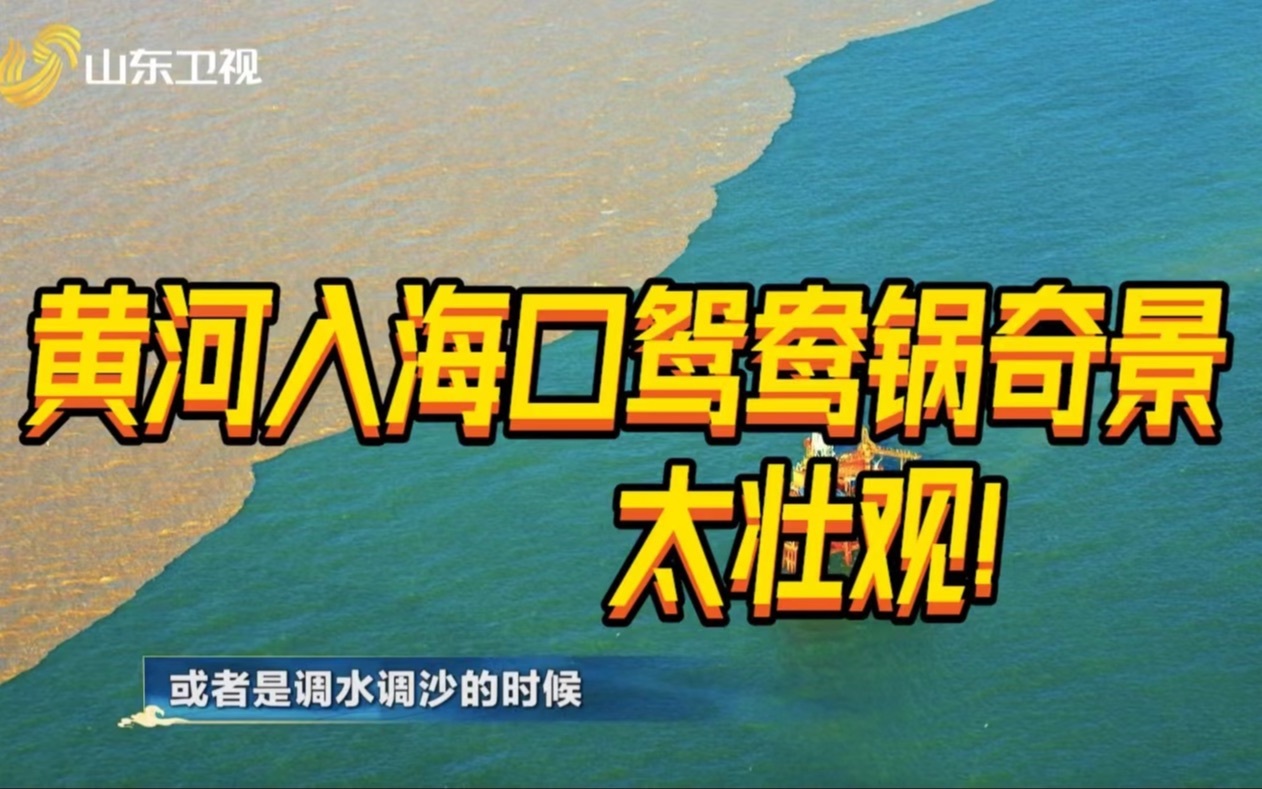 东营黄河入海口鸳鸯锅奇景太壮观！河海交汇一半浊黄一半蔚蓝