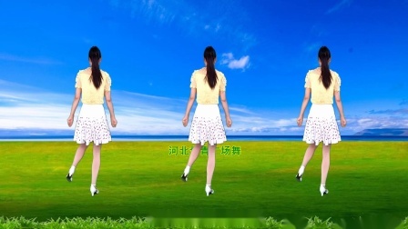 流行DJ广场舞及教学 第三季 广场舞《相思入骨泪如雨》背面演示+分解