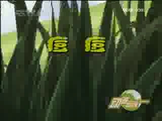 动漫世界 动漫世界 2008年 第234期