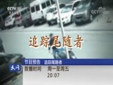 天网 《天网》 20180620 “她”的背影