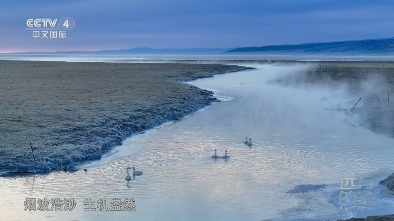 《远方的家》 20260218 山河锦绣看中国 跃动山海 和谐家园