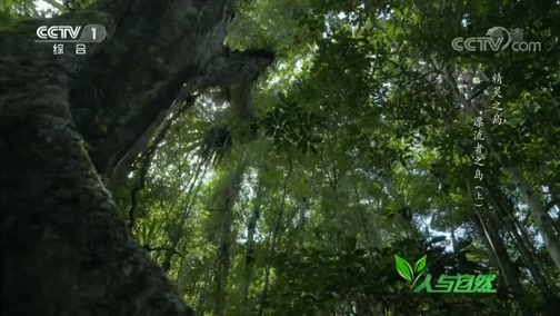 人与自然 《人与自然》 20190225 精灵之岛——漂流者之岛（上）