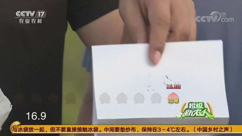 超级新农人 《超级新农人》 20200913 第五站 临沂