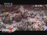 消费主张 味蕾历险记（下）