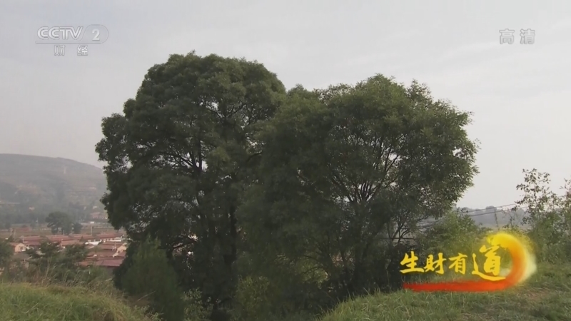 生财有道 《生财有道》 20221117 甘肃崇信：美了乡村 富了乡亲