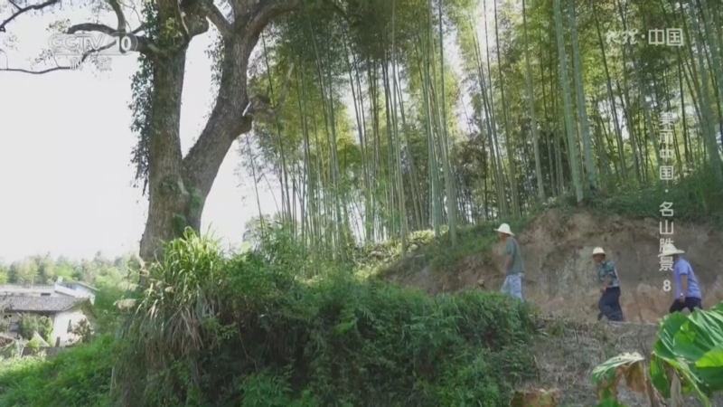 地理中国 《地理·中国》 20240515 美丽中国·名山胜景8