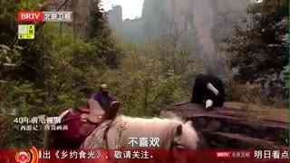 养生堂_20260220_马上福到 共守健康年 马德华的长寿取经路