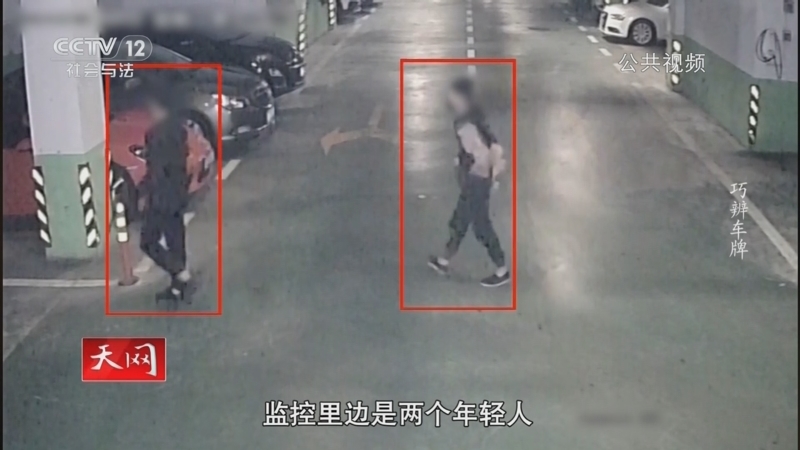 天网 《天网》 20250311 巧辨车牌