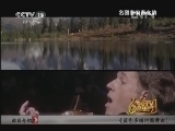 CCTV音乐厅 《CCTV音乐厅》 20130121 名团奏响春之韵