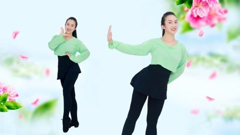广场舞花都开了你来不来