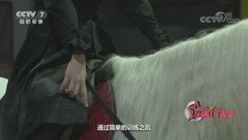 军迷行天下 《军迷行天下》 20200819 骑射的奥秘 上集