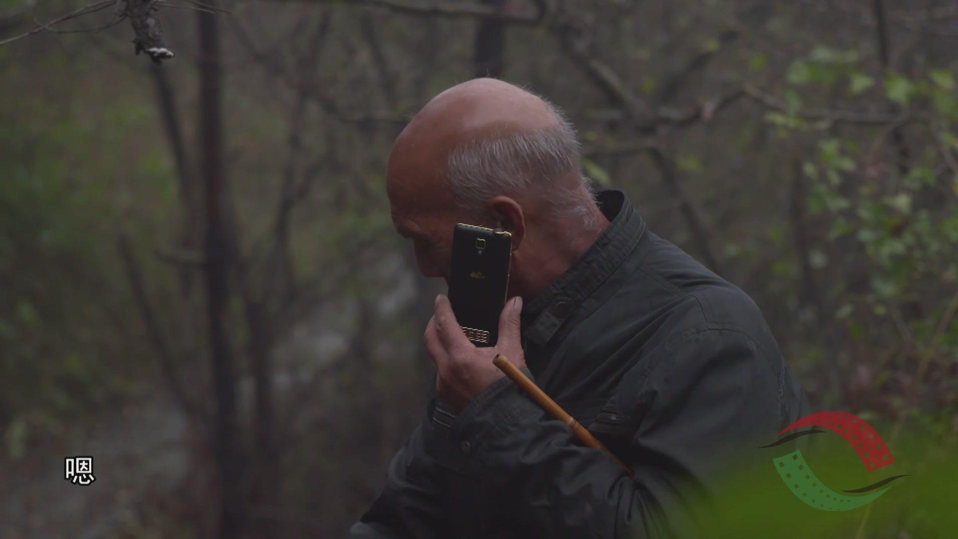 第四届国家级非物质文化遗产代表性传承人记录工作成果展映：年华易老 “技忆”永存 第113集