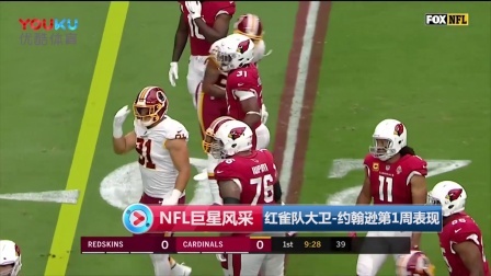 【NFL巨星风采】红雀队大卫-约翰逊第1周表现