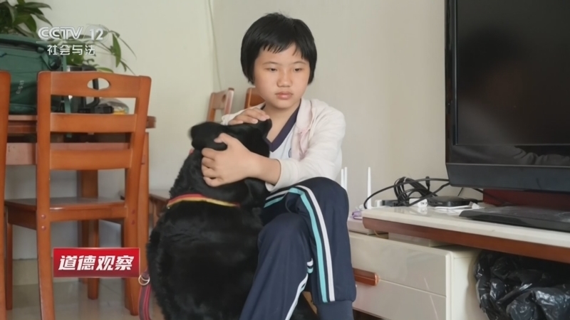 道德观察 《道德观察(日播版)》 20260423 孤独症辅助犬来了：一场陪伴与疗愈的公益实践（下）