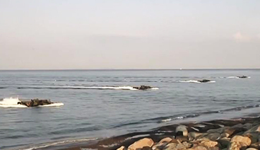 海峡两岸 《海峡两岸》 20201109
