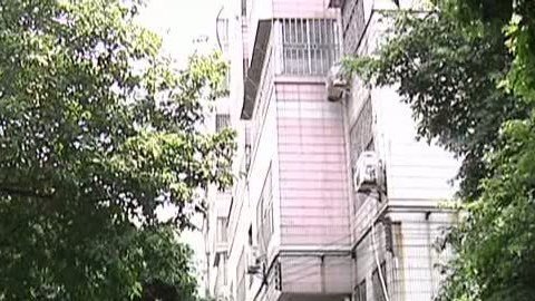 小强热线 小强热线20140401
