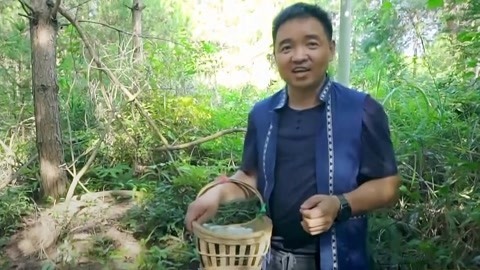与梦想合拍 鸡蛋哥的绿鸡蛋