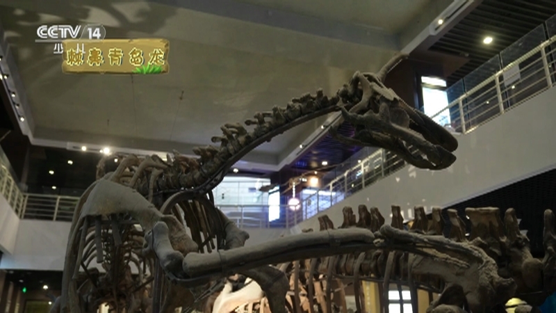 动感特区 《动感特区》 20250130 大器我成