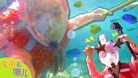 爱丽去哪儿 江原道郊游之美好的一天