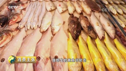 消费主张 《消费主张》 20190724 2019中国夜市全攻略：八闽海鲜出霞浦
