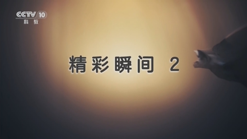 自然传奇 《自然传奇》 20260605 精彩瞬间 2
