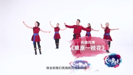 草原一枝花-饶子龙（导视）