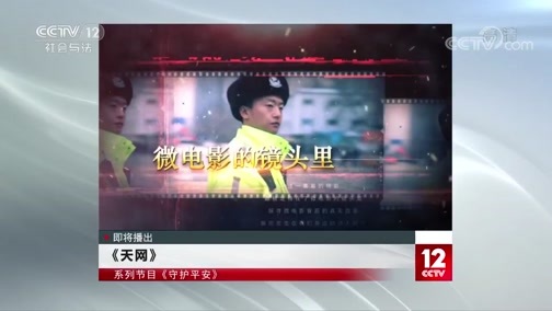 天网 《天网》 20200203 守护平安 执行第一线