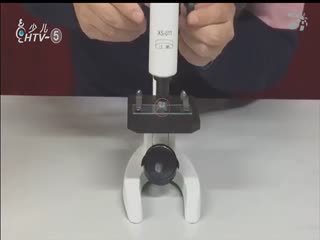 名师公开课 《显微镜的使用方法《六下“微小世界”》》授课教师：尹伟