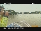 远方的家 百山百川行 第七十一集 丰饶米仓山《远方的家》 20130729
