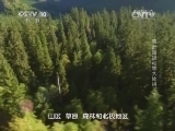 自然传奇 《自然传奇》 20141022 美洲超级动物大比拼（下）