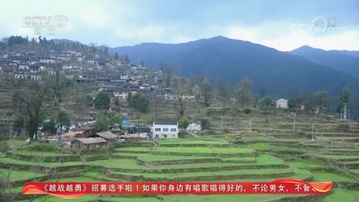 文化十分 《文化十分》 20200601