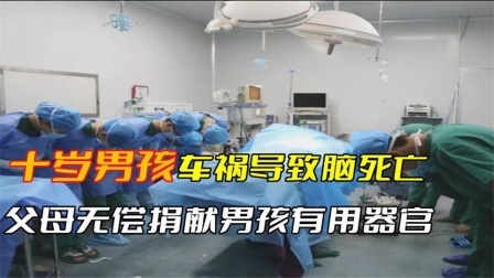 10岁男孩不幸遭遇车祸，导致脑死亡，父母无偿捐献男孩的器官