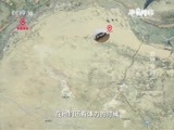 原来如此 《原来如此》 20151018 草原搜寻