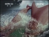 人与自然 《人与自然》 20120521 自然发现：自然的威力——洪水（上）