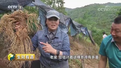 生财有道 《生财有道》 20180919 咱们家乡有特产（秋收系列）：走进吉林集安