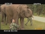 远方的家 《百山百川行》特别节目 探秘珍稀动物 《远方的家》 20130823