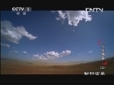 动物世界 《动物世界》 20130831 戈壁狮子（上）