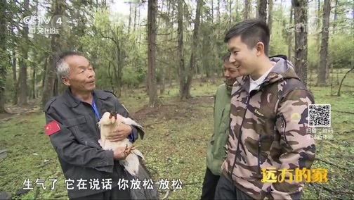 远方的家 《远方的家》 系列节目《大好河山》——秘境之踪 山水间的精灵 20190809