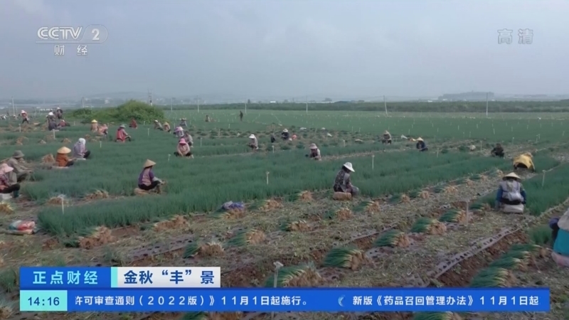 正点财经 《正点财经》 20221031 14:00