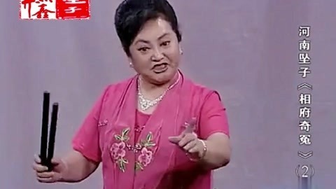 河南坠子 河南坠子 相府奇冤 二部