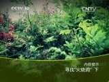 地理中国 《地理中国》 20150516 寻找“火烧洞”（下）