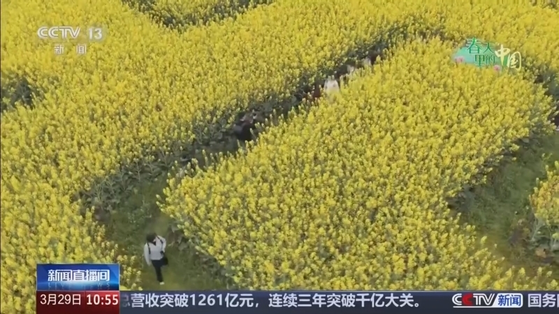 《新闻直播间》 20260329 10:00