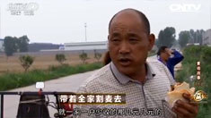 致富经 [致富经]麦收故事(1) 带着全家割麦去 20160629