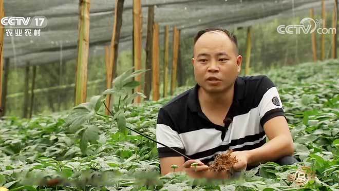致富经 《致富经》 20200731 我的班长我的兵